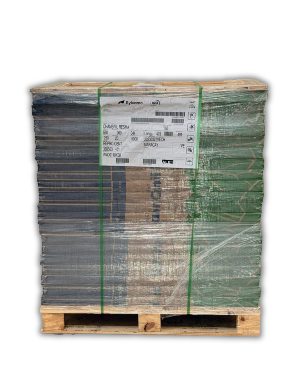 resmas papel Bristol 150g CHAMBRIL 66x96cm resmas papel Bristol 150g CHAMBRIL 66x96cm